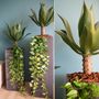 Décorations florales - Aloe - Plante artificielle - Lou de Castellane - LOU DE CASTELLANE