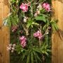 Décorations florales - Mur Végétal - Fleurs artificielles - Lou de Castellane - LOU DE CASTELLANE