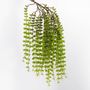 Floral decoration - Fern fall H60 - LOU DE CASTELLANE