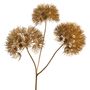 Décorations florales - Allium or - Lou de Castellane - LOU DE CASTELLANE