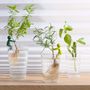 Aménagements pour bureau - Leafriend - pour faire des boutures - PA DESIGN