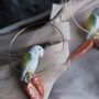 Jewelry - Parrot and Feather Earrings - NACH