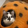 Accessoires animaux - Cocon ou grotte pour chats en laine feutrée - COCOON PARIS