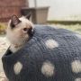 Pet accessories - Felted Wool Cat Cocoon - COCOON PARIS