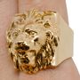 Jewelry - Lion Collection - LOTTA DJOSSOU