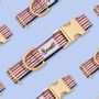 Pet accessories - THE FRENCH BANBAN - A&M - FRENCH BANDIT