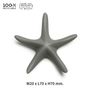 Decorative objects - Sea Star Magnet: New Ocean Collection Eco-Friendly Materials Magnet Toys Kids - QUALY DESIGN OFFICIAL