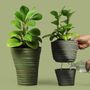 Vases - Pot de fleurs Strata : New Earth Collection Matériaux respectueux de l'environnement Vase à cactus Décoration de bureau Cuisine Pot de fleurs auto-arrosant - QUALY DESIGN OFFICIAL