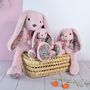 Soft toy - SWEETY MOUSSE PM - Rabbit - HISTOIRE D'OURS