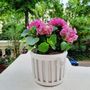 Vases - Openwork Empire planter with interior - BOURG-JOLY MALICORNE