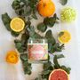 Decorative objects - Grapefruit scented candle - CONFIDENCES PROVENCE