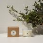 Candles - Juniper Berries Scented Soy Wax Candle 140 gr - CAROLA FRA I TRULLI