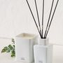 Home fragrances - Minimal Boisée Mousse Collection - LADENAC MILANO