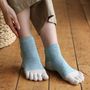Pet accessories - Silk Melange 5 Toe Socks & Long Type for Dogs (Ultra/Small Dogs) Belly Band - YU.ITO  CO. LTD