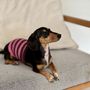 Accessoires animaux - Chaussettes à 5 orteils et ceinture ventrale pour chiens en soie - YU.ITO  CO. LTD