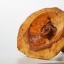 Unique pieces - The oak cupula - PIERRE MARIOTTE