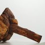 Unique pieces - The oak cupula - PIERRE MARIOTTE