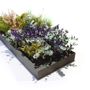 Floral decoration - Planters - GREENAREA
