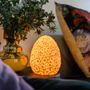 Accessoires de déco extérieure - THE DAISY LAMP - Made In Spain - GOODNIGHT LIGHT