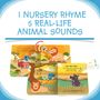 Jeux enfants - Livre sonore Ditty Bird Safari Animal Sounds - DITTY BIRD