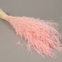 Floral decoration - Dried Munni pink - LE COMPTOIR.COM