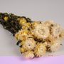 Floral decoration - Natural dried immortelle white - LE COMPTOIR.COM