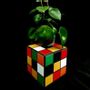Objets de décoration - Petit cube mutlicolor - L'ATELIER DES CREATEURS