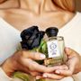 Fragrance for women & men - FRAGRANCES - EDP & PARFUM - FARMACIA SS.ANNUNZIATA DAL1561