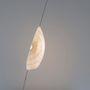 Lampes à poser - Coquillage - CELINE WRIGHT