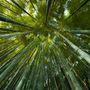 Couverts de service - Ensemble de couverts en bambou/YAMAMINGU -laqué noir- - NIHON SOGO ENGEI