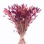 Décorations florales - MOTS MORE INTERIOR FLOWER BOUQUETS - MOTS MORE INTERIOR FLOWERS