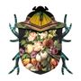 Decorative objects - Keith - Decorative beetle with hidden small storage and mirror - MIHO UNEXPECTED THINGS