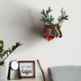 Other wall decoration - In the pines - Eco-friendly deer head - MIHO UNEXPECTED THINGS