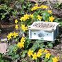 Speakers and radios - Flora - FAMILY LABO SOUND SYSTEM