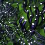 Verre d'art - Under Water - BO GLASS STUDIO