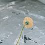 Vases - Rolypoly vase - BMIX STUDIO