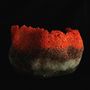 Unique pieces - Coral - CERAMICA EKTA LTD