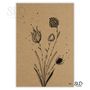 Affiches - Affiche : fleurs - SI.D