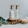 Decorative objects - Dishwashing liquid bottle - LES FLACONS DE L'APOTHICAIRE