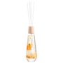 Floral decoration - 140 and 300 ml home fragrance diffuser - Herbarium/BOTANICA Fragrance Japan collection - ABINGPLUS