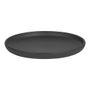 Everyday plates - LEGUMINOUS 24 CM MELODY - TABLE PASSION