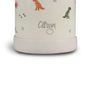 Children's mealtime - Water Bottle - 250ml - Dino Green - CITRON