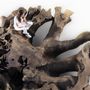 Garden accessories - Tupã Tree Root - TORA BRASIL
