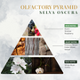 Home fragrances - Selva Oscura - Home Fragrance - LOGEVY FIRENZE 1965