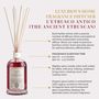Home fragrances - L'etrusco Antico - Home Fragrance - LOGEVY FIRENZE 1965