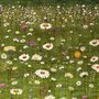 Tapis contemporains - Flower Meadow 4, Zollanvari Super Fine Gabbeh - ZOLLANVARI INTERNATIONAL