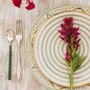 Everyday plates - ASSIETTES - CHABI CHIC