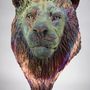 Unique pieces - Lion head in raku copper mat - SARA WEVILL ANIMAL SCULPTURE