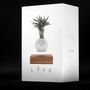 Design objects - FLYTE LYFE Floating Pot - FLYTE