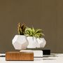 Design objects - FLYTE LYFE Floating Pot - FLYTE